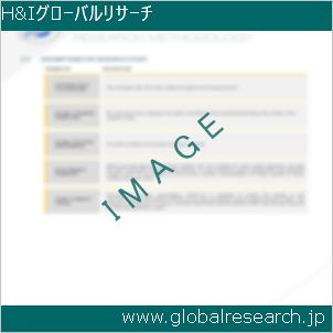 グローバルリサーチ調査レポートのイメージ
